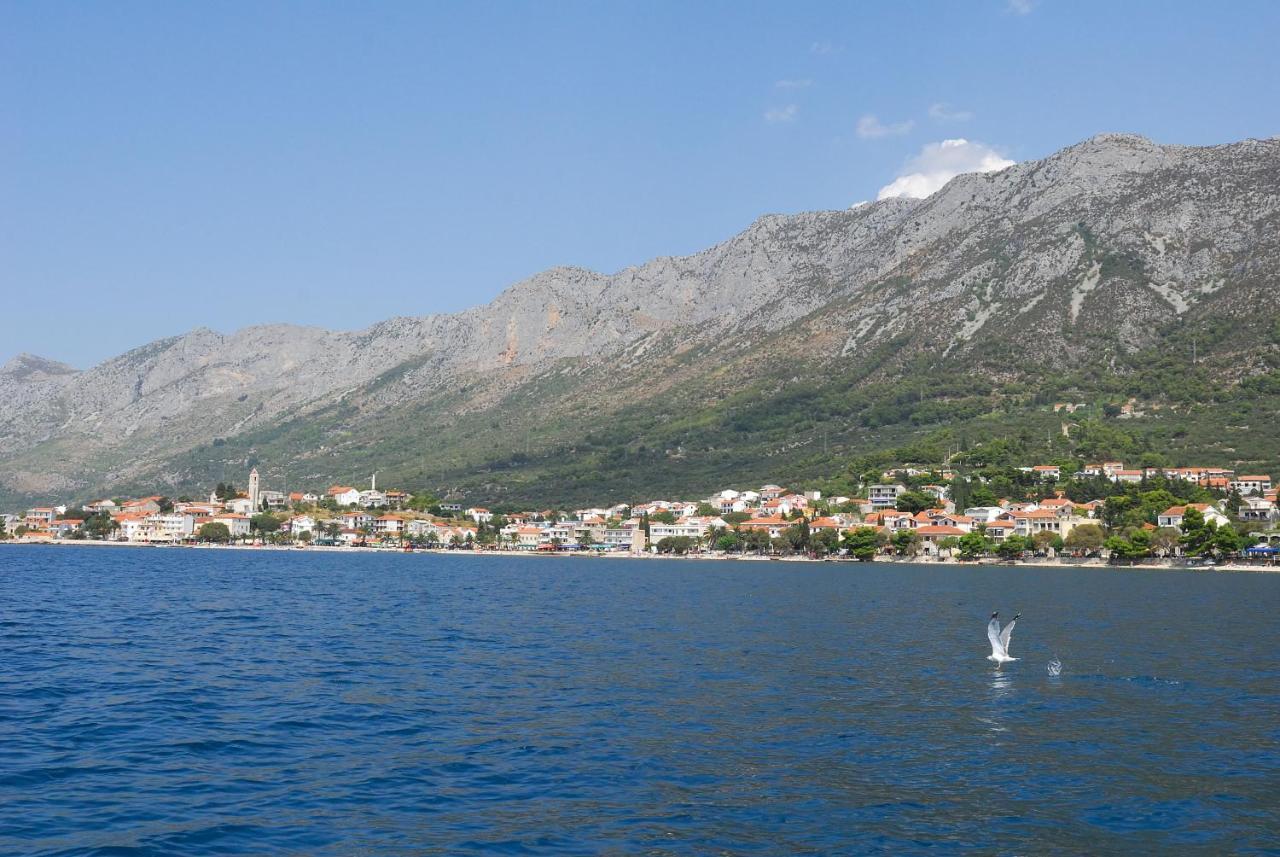 Apartment Vesna Gradac (Split-Dalmatia)