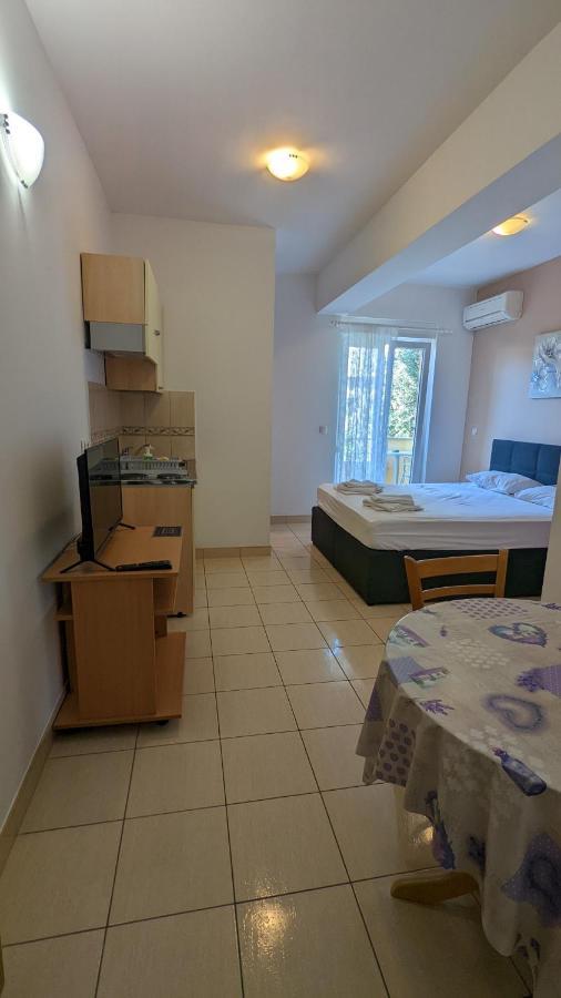 Vesna Apartment Gradac (Split-Dalmatia)